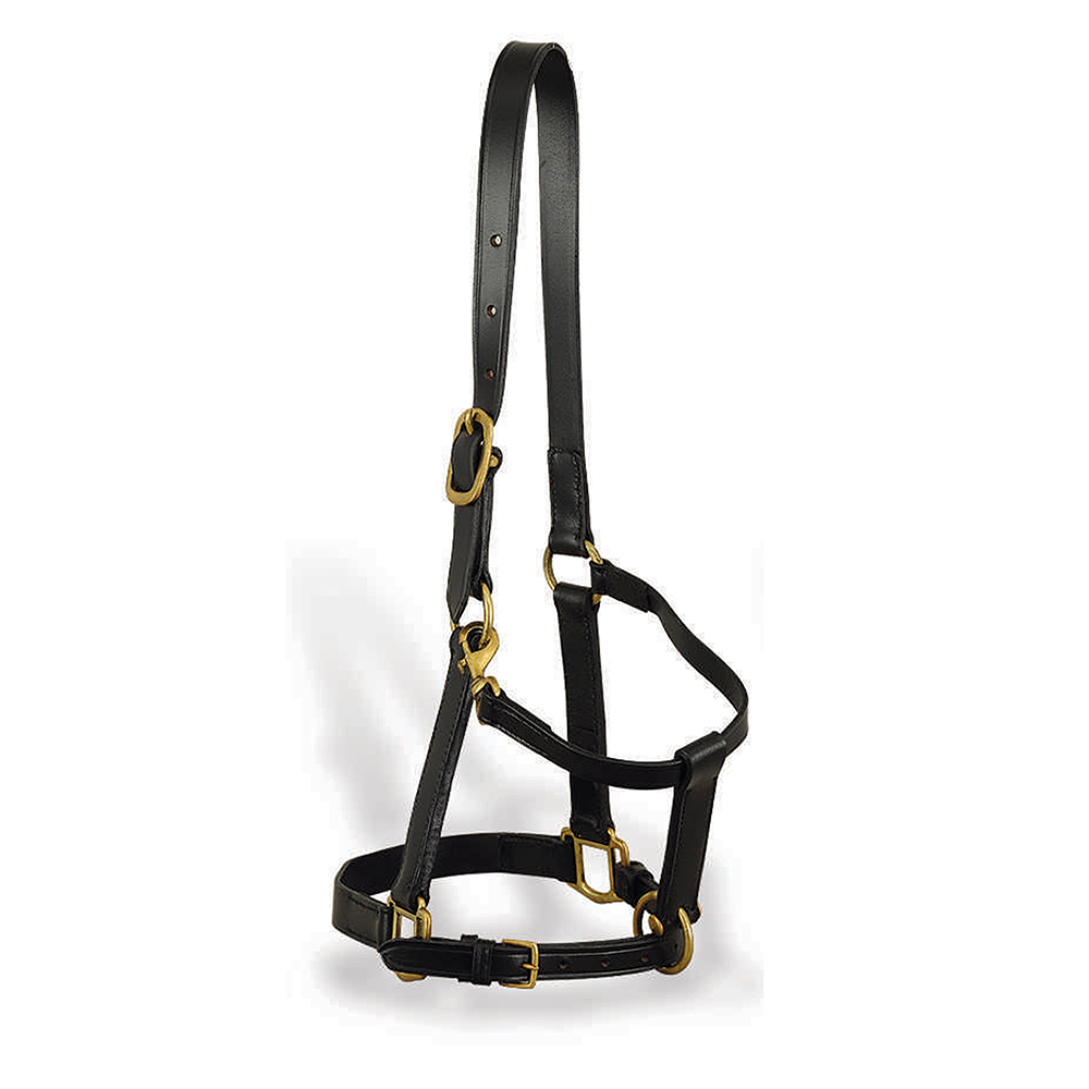 Leather Halter