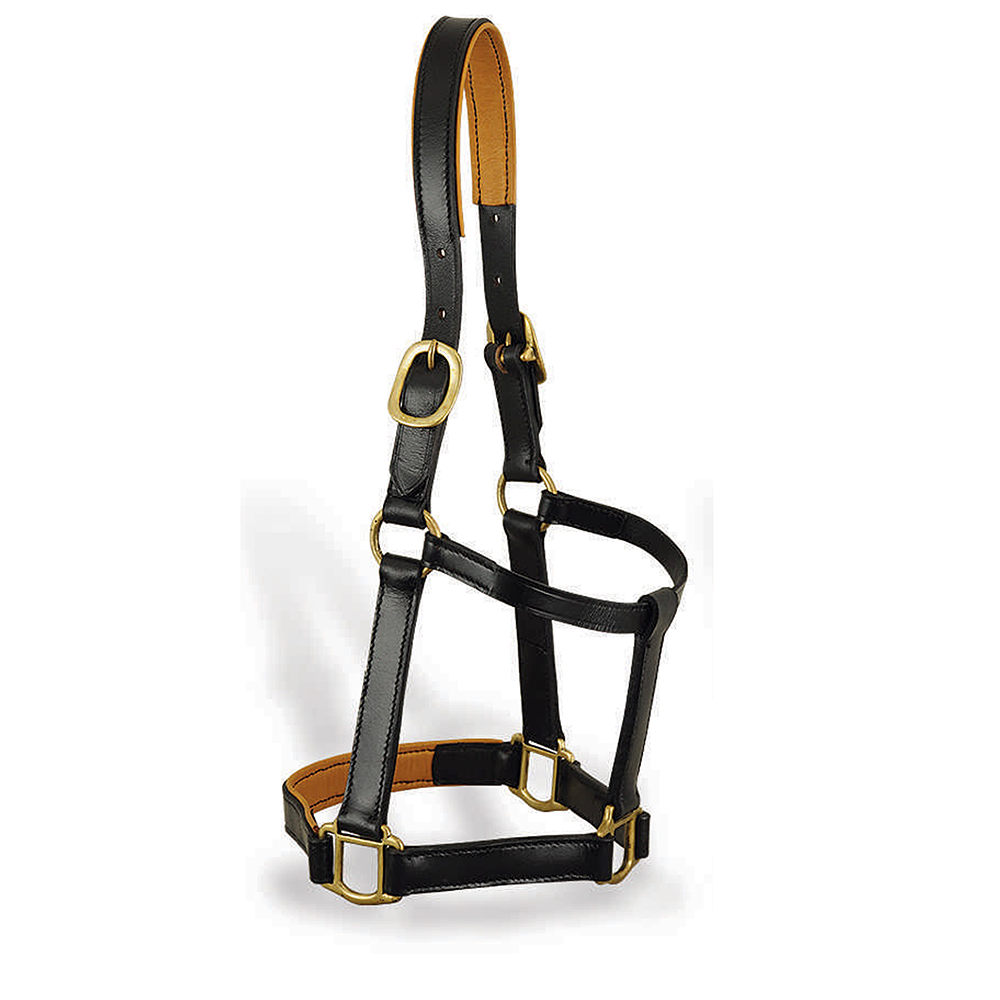 High quality Leather Halter