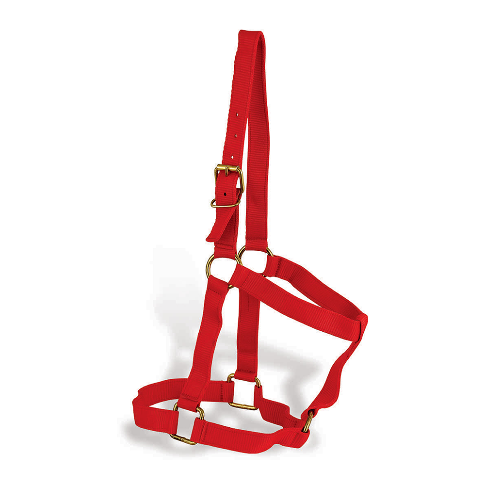 halter5